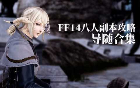 ff14导随开启条件