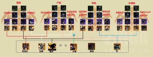 超进化物语新手基因怎么选