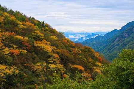 御剑情缘登高寻秋节日副本称号怎么获得