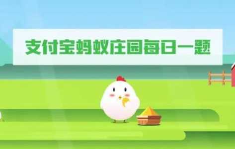 支付宝今天的小鸡饲料答案是什么