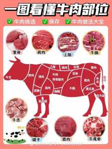 安格斯牛肉和普通牛肉的区别