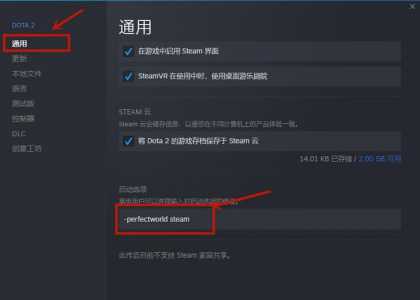 dota2国服启动项怎么设置?求教