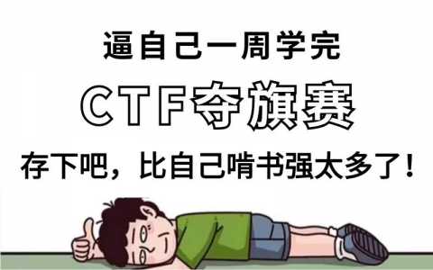 2024最全CTF入门指南、CTF夺旗赛及刷题网站(建议收藏!)