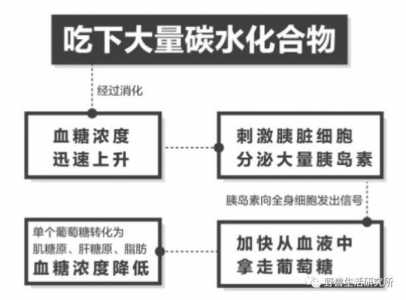 足球运动员的食谱一般是怎样的?想要增强体能